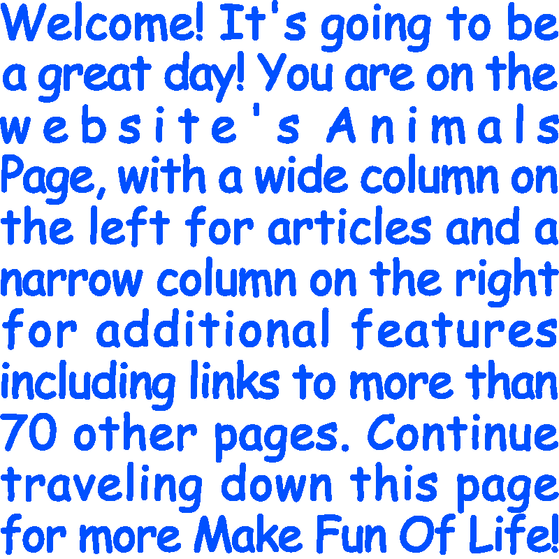 Welcome! It’s going to be a great day! You are on the website’s Animals Page, with a wide column on the left for articles and a narrow column on the right for additional features including links to more than 70 other pages. Continue traveling down this page for more Make Fun Of Life!