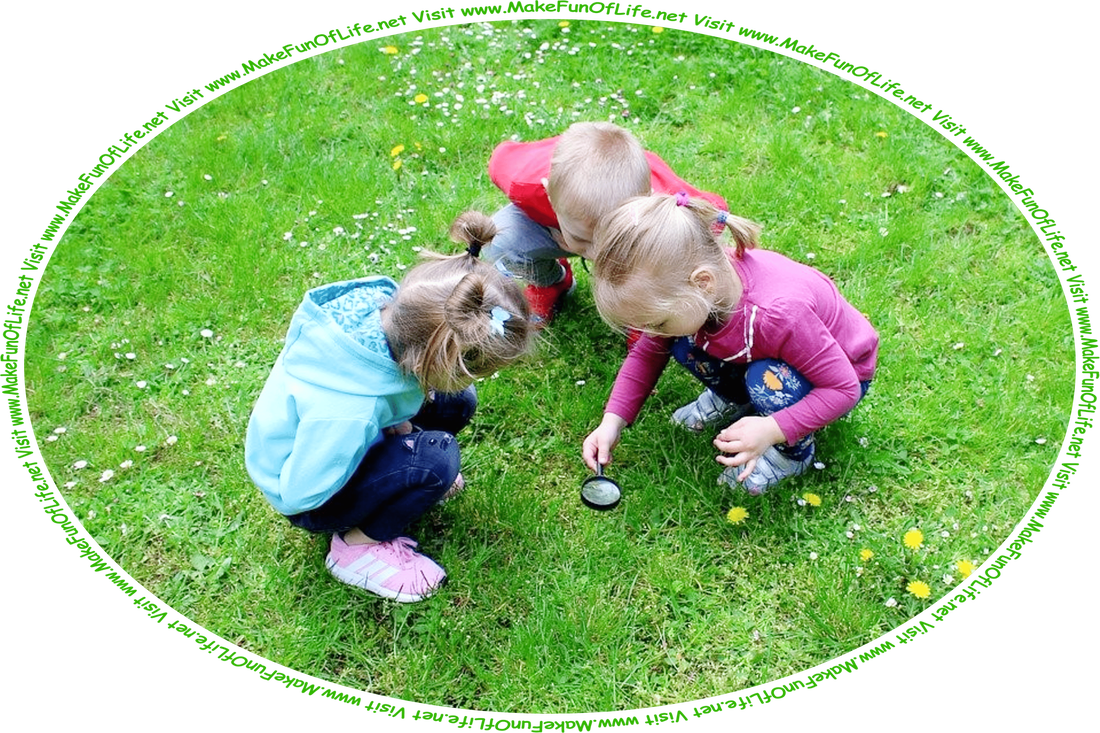 Picture of three young children in a green grassy area with scattered yellow dandelions and white daisies, looking at something in the grass through a hand-held magnifying glass, and the words, ‘Visit www.MakeFunOfLife.net.’