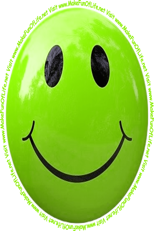 Picture of a yellowish-green smiley face and the words, 'Visit www.MakeFunOfLife.net.'