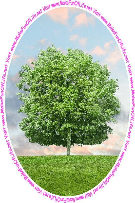 Picture of a leafy green tree in a grassy green lawn, a blue sky with pink-hued clouds of a sunsetting day above, and the words, 'Visit www.MakeFunOfLife.net.'