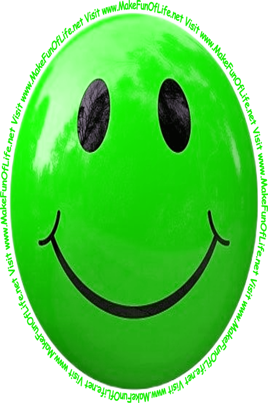 Picture of a green smiley face and the words, 'Visit www.MakeFunOfLife.net.'