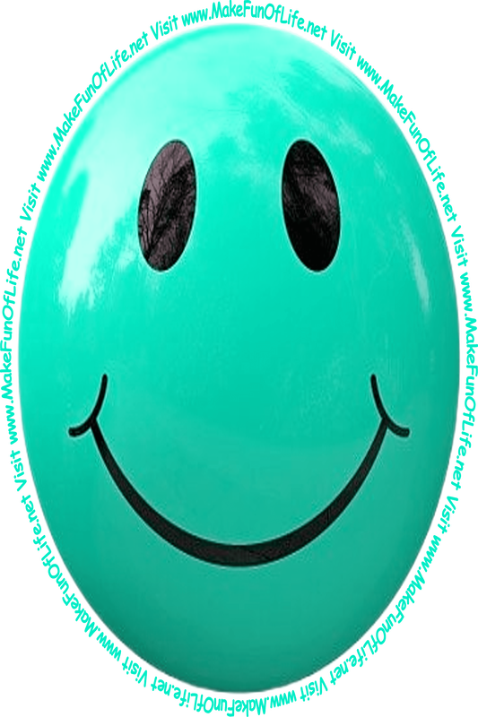 Picture of a light blue-green smiley face and the words, 'Visit www.MakeFunOfLife.net.'
