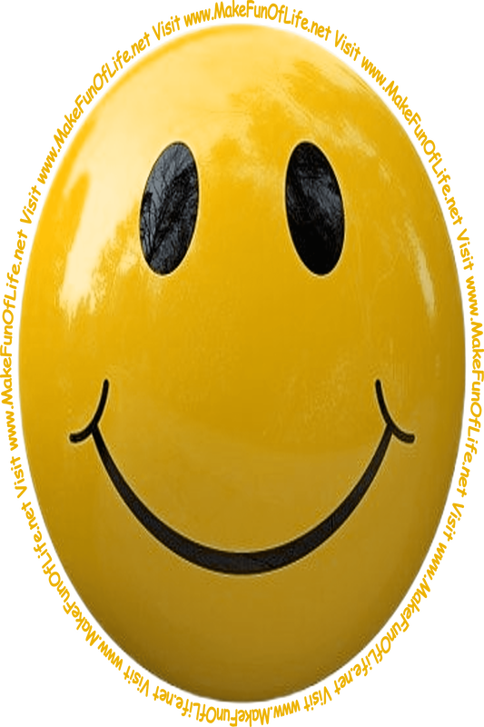 Picture of a golden-brown smiley face and the words, 'Visit www.MakeFunOfLife.net.'