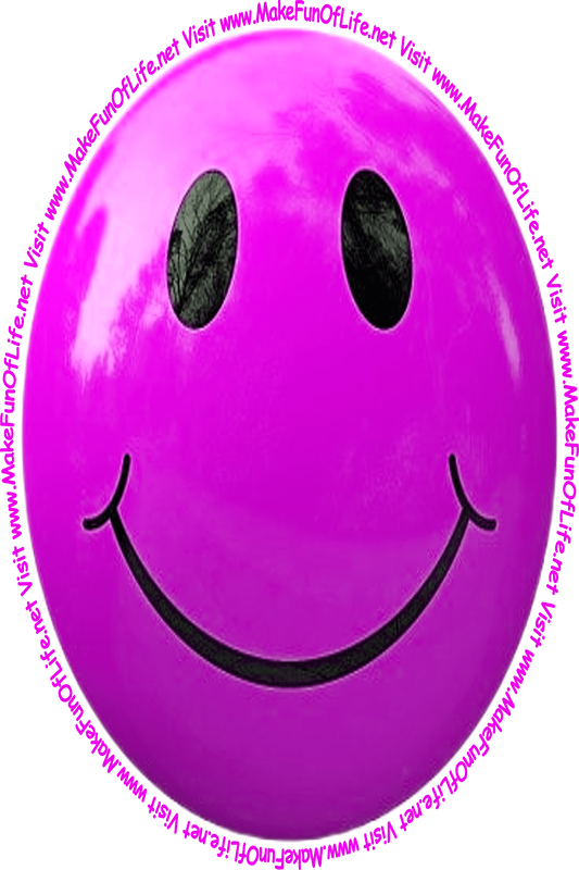 Picture of a pinkish-lavender smiley face and the words, 'Visit www.MakeFunOfLife.net.'