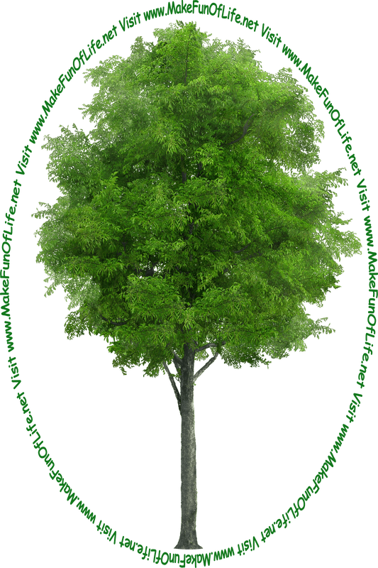 Picture of a tall green leafy tree and the words, 'Visit www.MakeFunOfLife.net.'