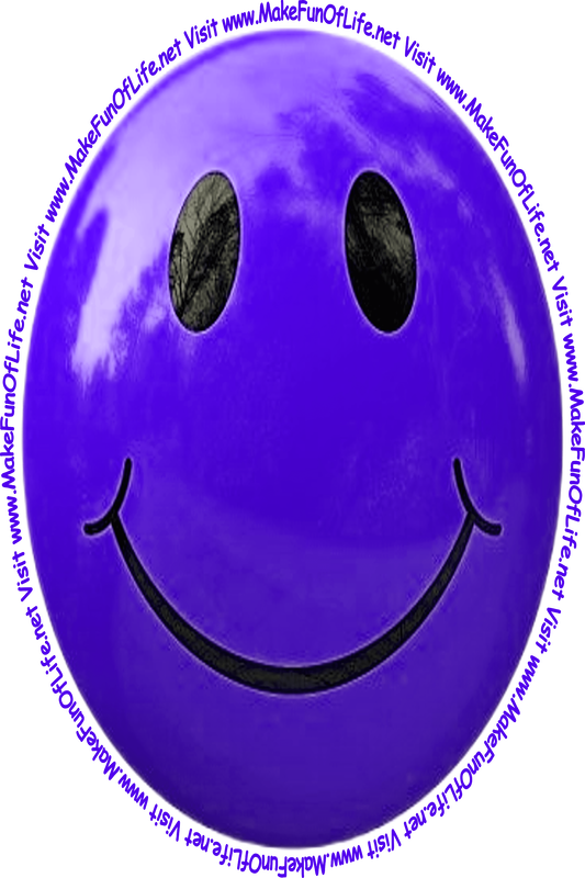 Picture of a dark blue smiley face and the words, 'Visit www.MakeFunOfLife.net.'