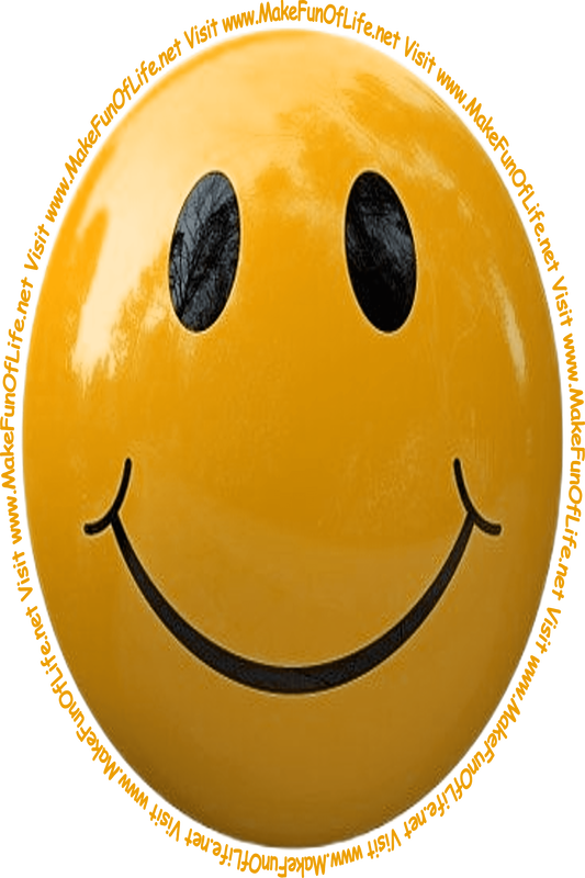Picture of a brown smiley face and the words, 'Visit www.MakeFunOfLife.net.'