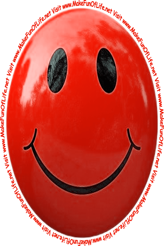 Picture of a dark red smiley face and the words, 'Visit www.MakeFunOfLife.net.'