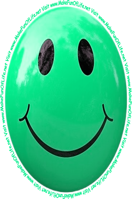 Picture of a blue-green smiley face and the words, 'Visit www.MakeFunOfLife.net.'