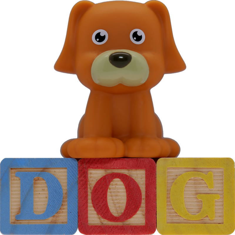 Picture of a toy dog sitting on top of three toy letter building blocks spelling out D O G.