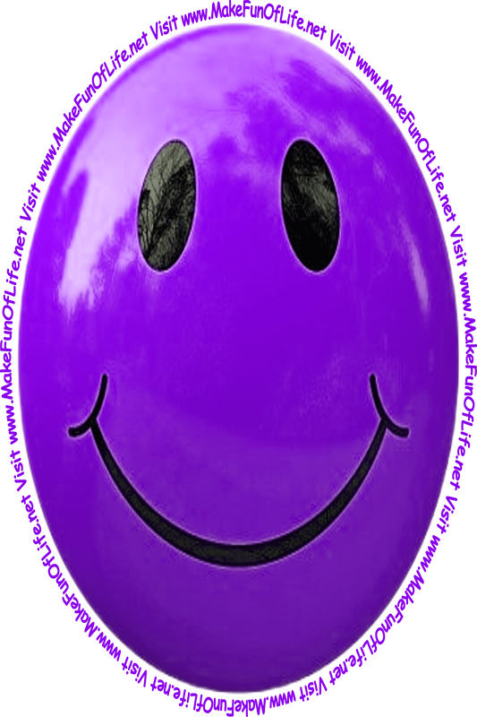 Picture of a schmurple smiley face and the words, 'Visit www.MakeFunOfLife.net.'