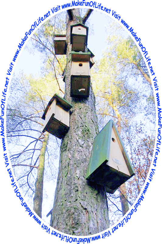 Picture of a very tall tree with several wooden birdhouses attached to its trunk, and the words, ‘Visit www.MakeFunOfLife.net.’