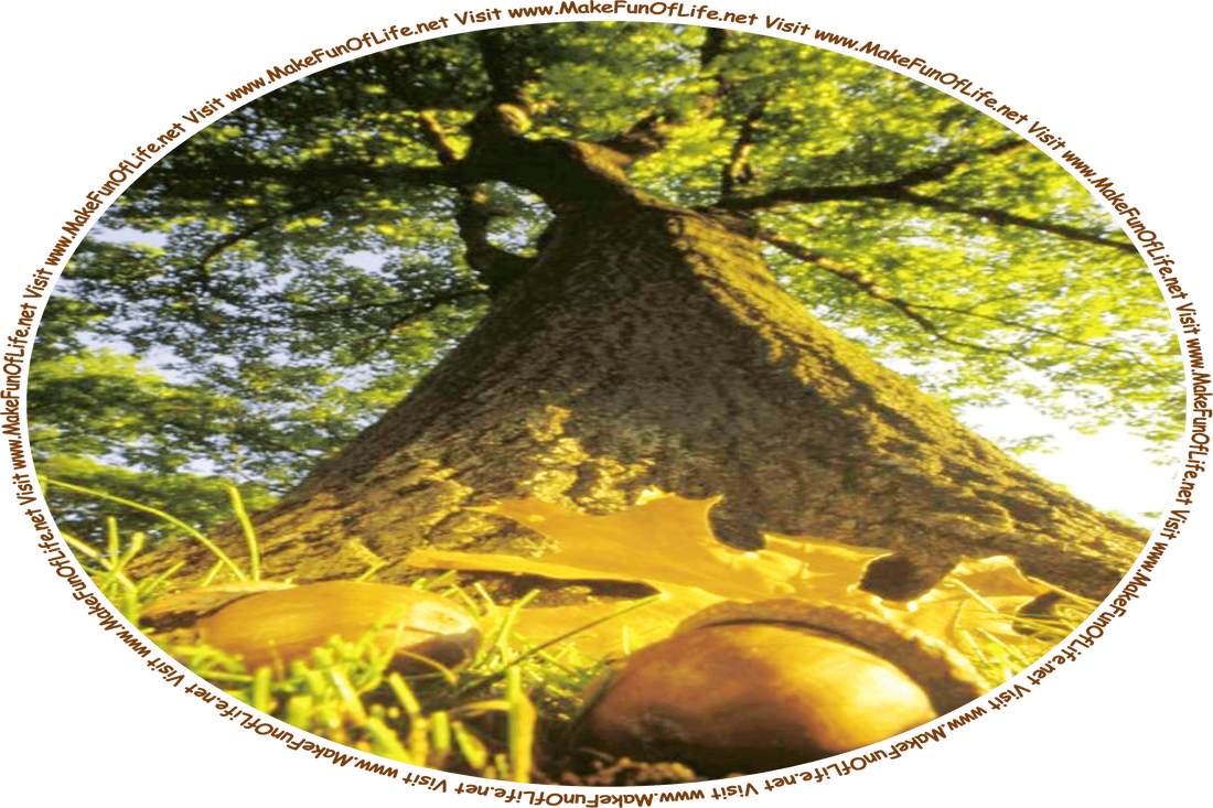 Picture of a two acorns lying in the grass at the foot of a tall, green leafy oak tree, and the words, ‘Visit www.MakeFunOfLife.net.’