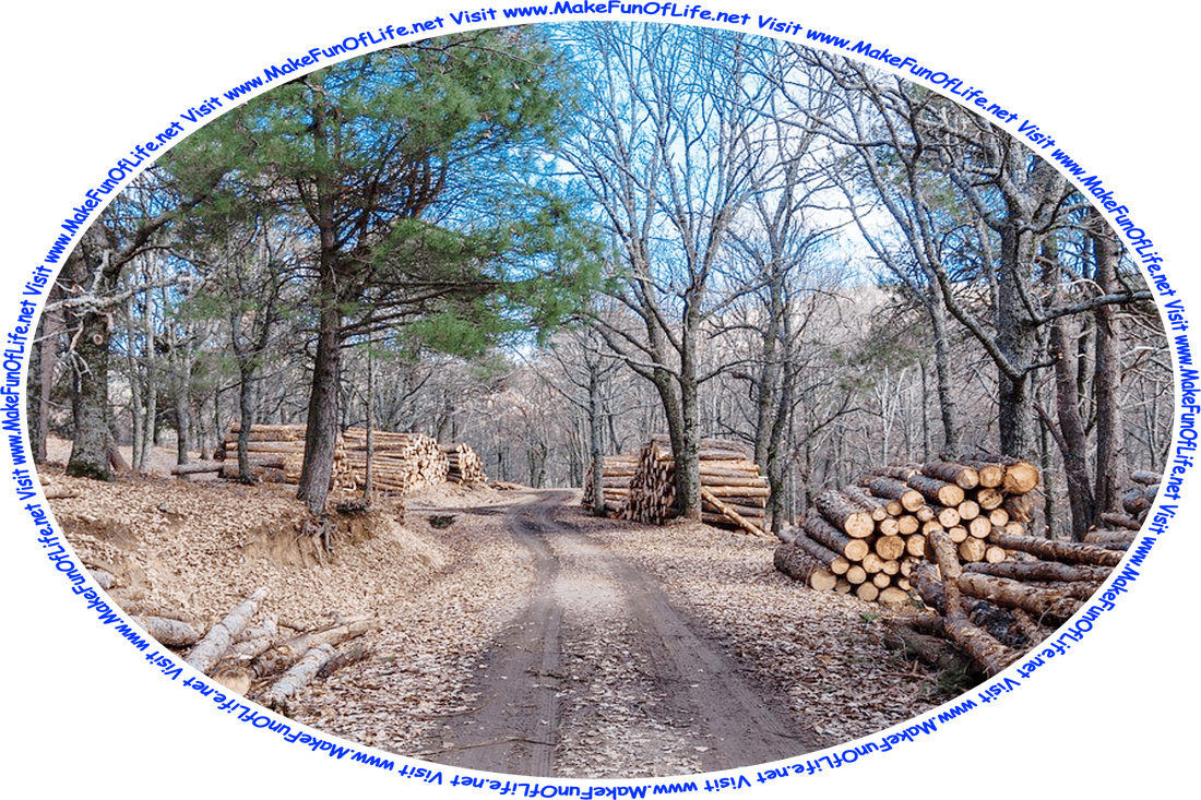 Picture of a dirt logging road through a woods in Autumn, with pine tree logs stacked up on both sides of the road, ready to be loaded onto trucks to sawmills, and the words, ‘Visit www.MakeFunOfLife.net.’