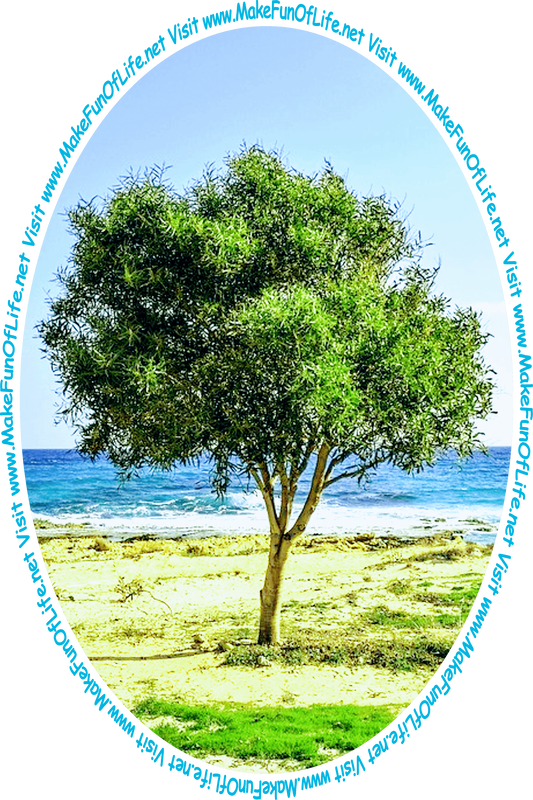Picture of a tree growing near the sea and the words, 'Visit www.MakeFunOfLife.net.'
