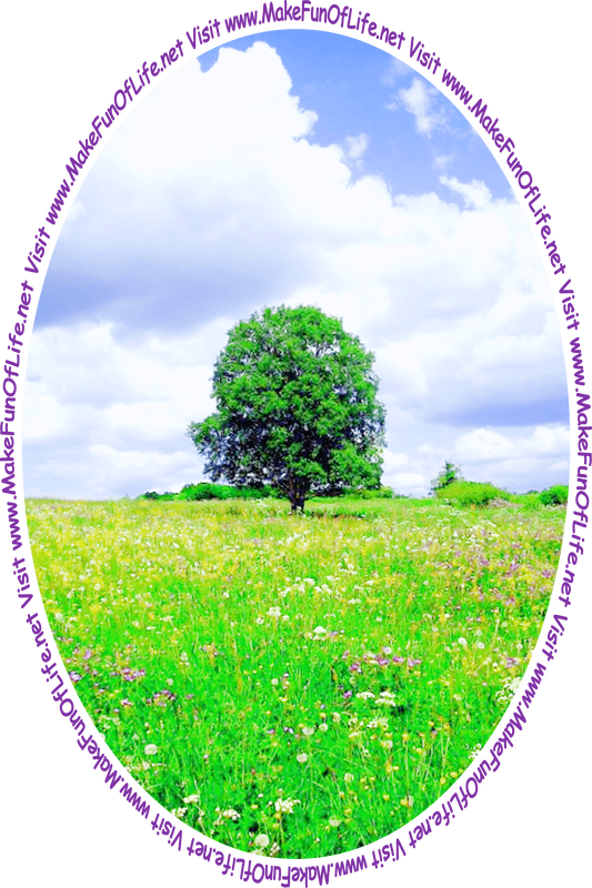 Picture of a single green leafy tree in a meadow with flowering plants and green grass, a cloudy sky overhead and the words, 'Visit www.MakeFunOfLife.net.'
