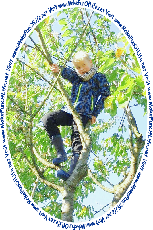Picture of a boy in a green leafy tree and the words, 'Visit www.MakeFunOfLife.net.'
