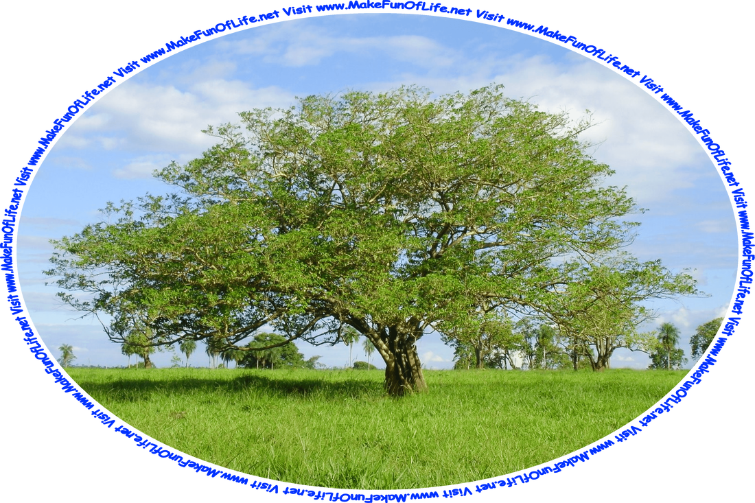 Picture of a green leafy tree in a field of green grass, a blue sky with fluffy white clouds above, and the words, ‘Visit www.MakeFunOfLife.net.’