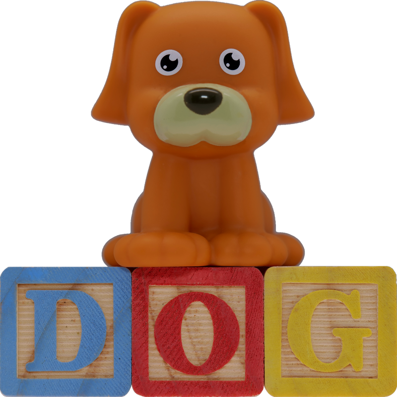 Picture of a toy dog sitting on toy wooden blocks spelling out D-O-G.