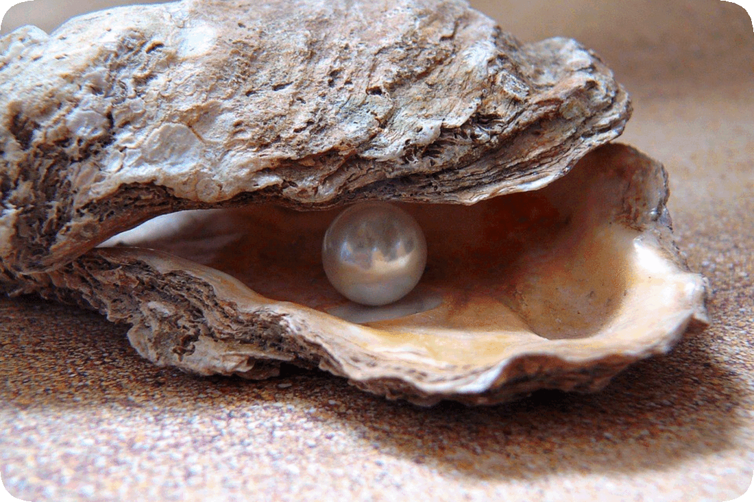 Picture of an oyster shell with a pearl inside it.