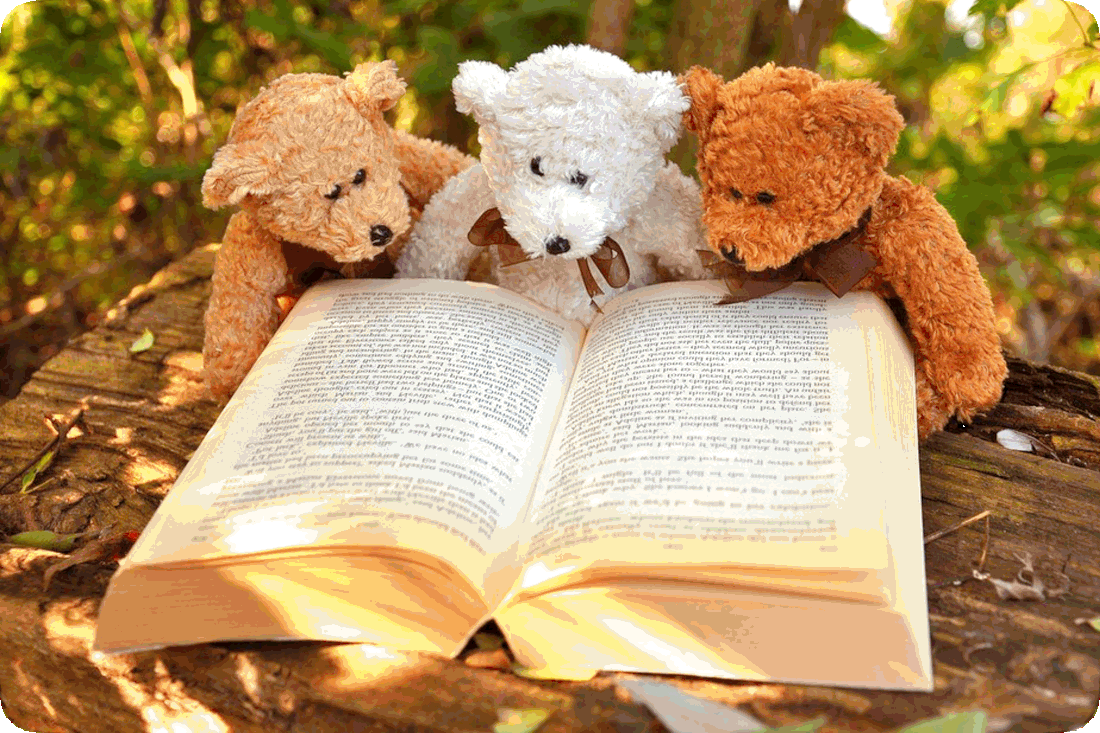 Picture of three tiny bears outside under a tree and reading a book.