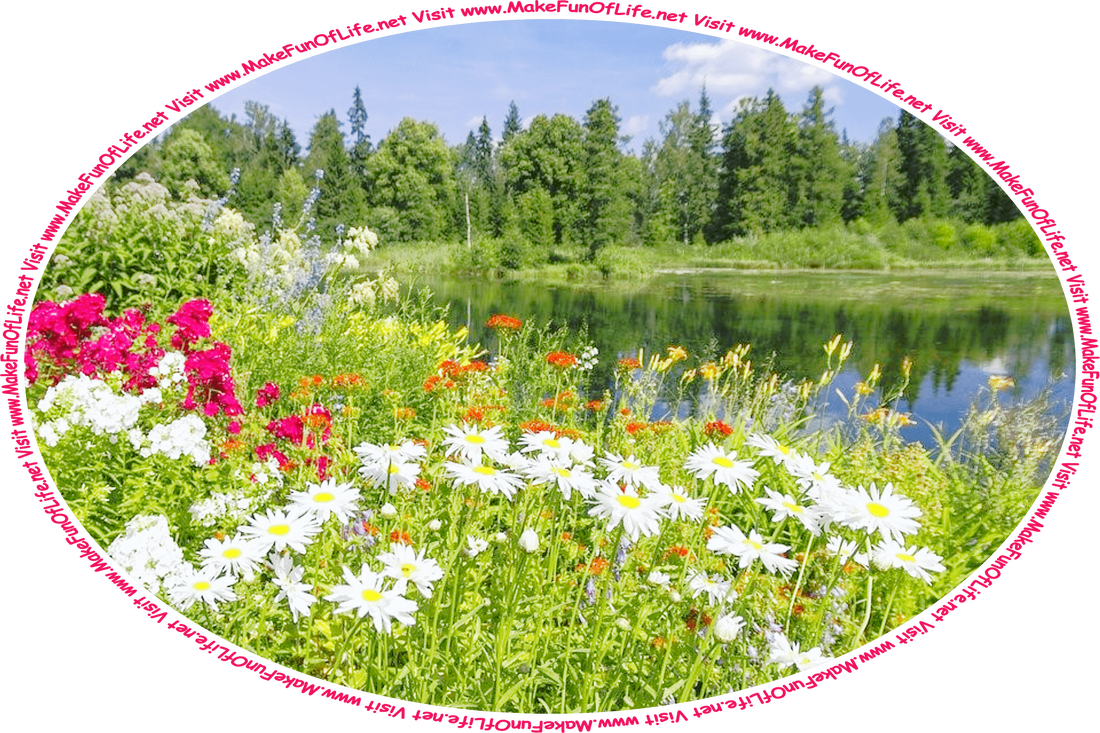 Picture of a wilderness area with flowering plants, a lake, green leafy trees across the lake, a blue sky with fluffy white clouds, and the words, ‘Visit www.MakeFunOfLife.net.’