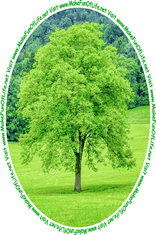 Picture of a tall green leafy tree in a green grassy area with a woods of green leafy trees in the distance and the words, 'Visit www.MakeFunOfLife.net.'