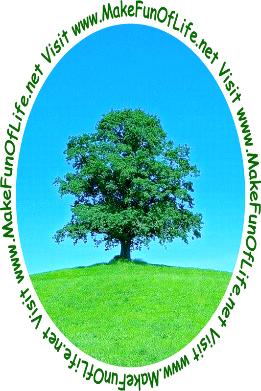 Picture of a green leafy tree in a green grassy field with a clear blue sky overhead.