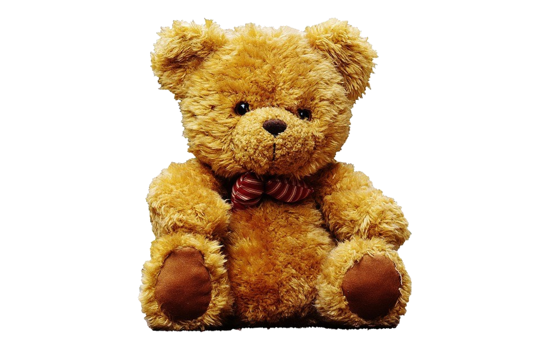 Adopted By GABRIELLA Cuddly Dog Teddy Bear Wearing a Printed Name GABRIELLA-TB2 