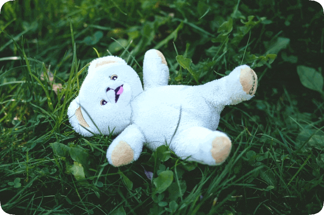 Picture of a teddy bear lying on green grass where it has been lost or misplaced.