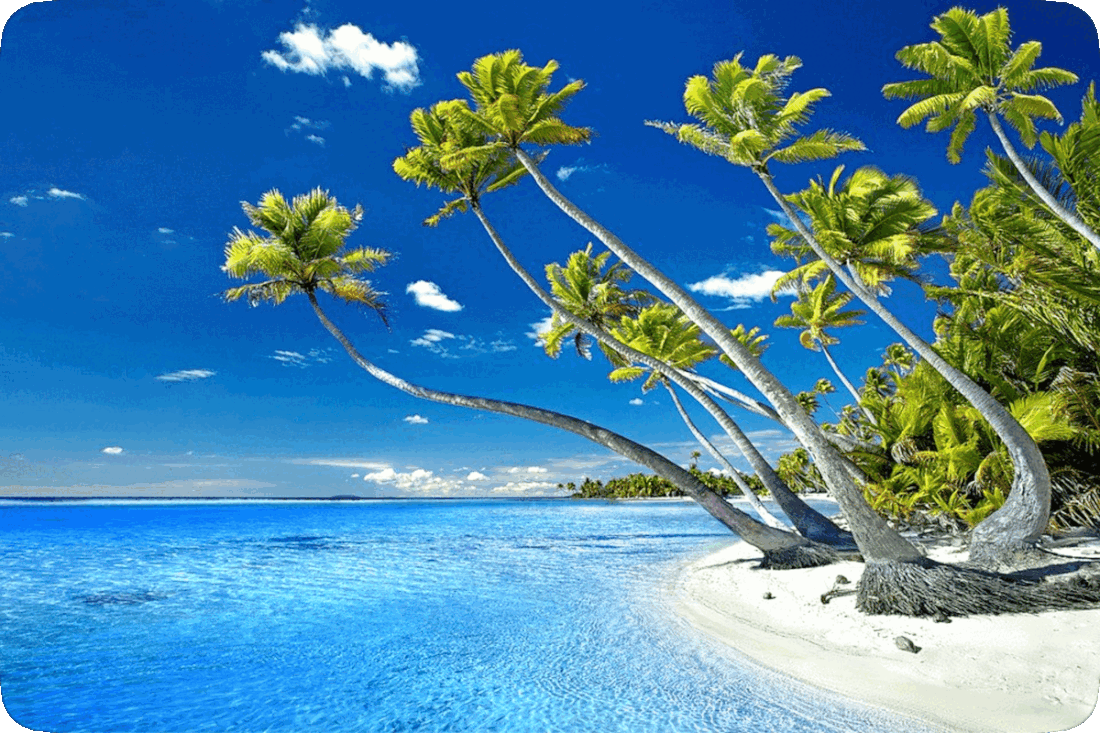 Picture of a tropical beach with shallow calm blue water, white sand, green leafy palm trees, and a blue sky with tiny fluffy white clouds overhead.