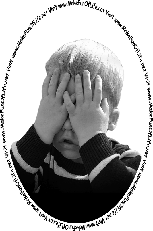 Picture of a young boy covering his face with his hands in response to seeing the words and pictures on the website, and the words, 'Visit www.MakeFunOfLife.net.'