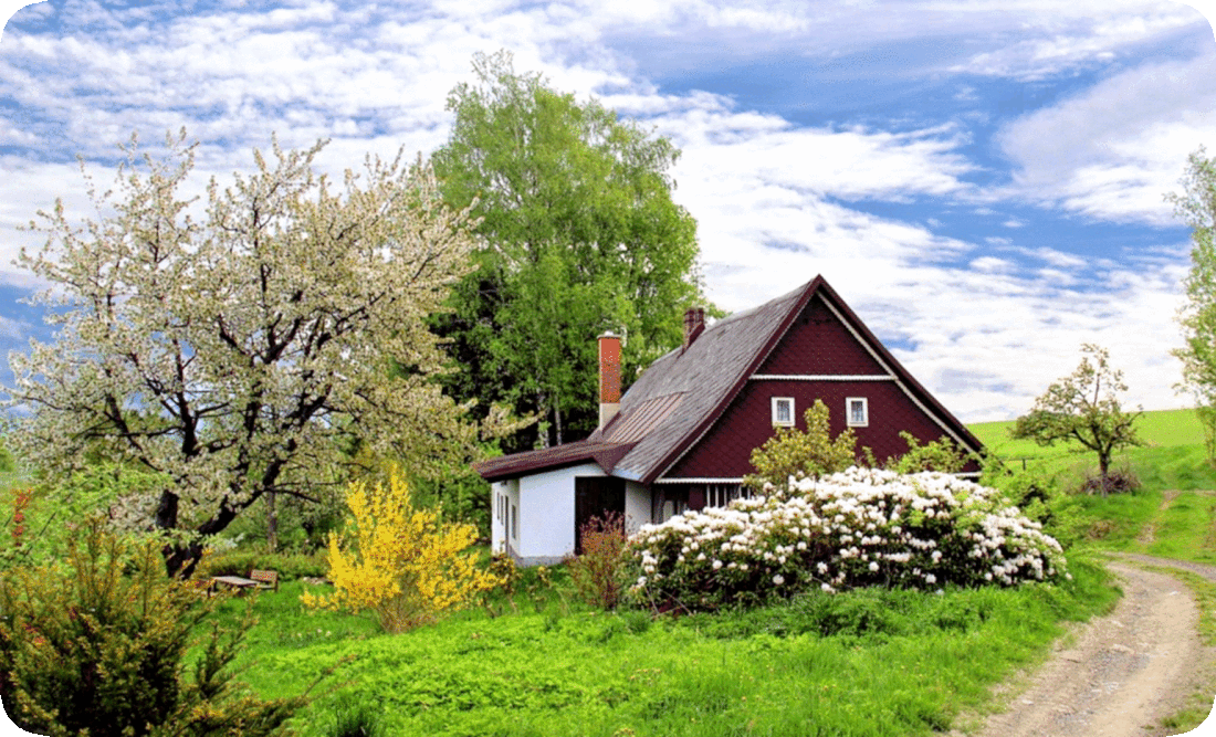 Picture of a country cottage surrounded by flowering trees and bushes and green grass, with a table and benches under a tree a short distance from the cottage door, and a blue sky with small fluffy white clouds.