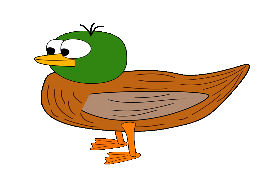 Picture of a duck.