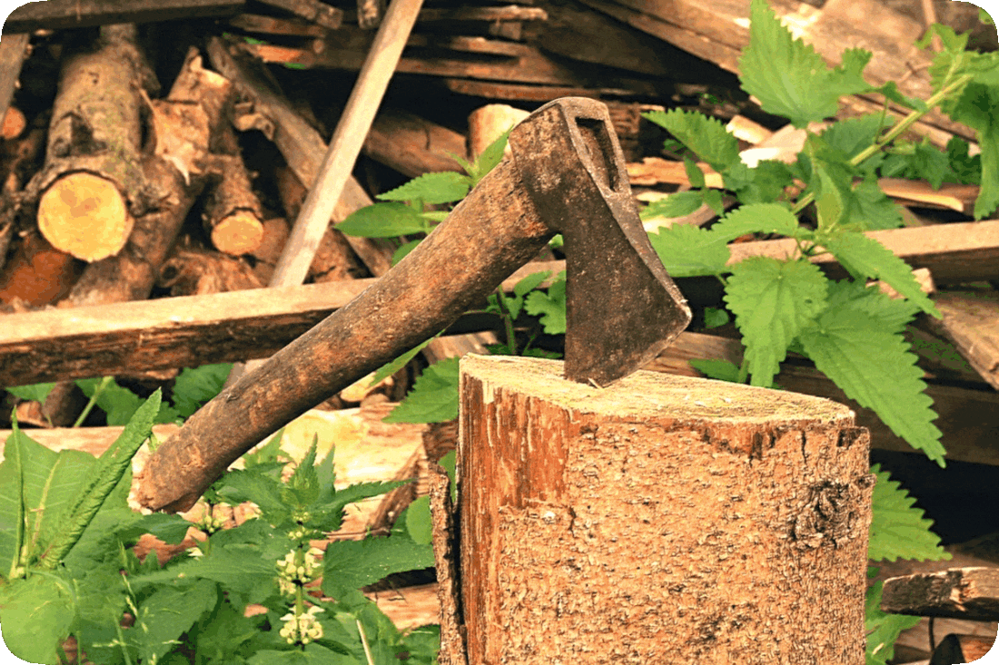 Picture of an ax with the blade thrust into a chopping block.