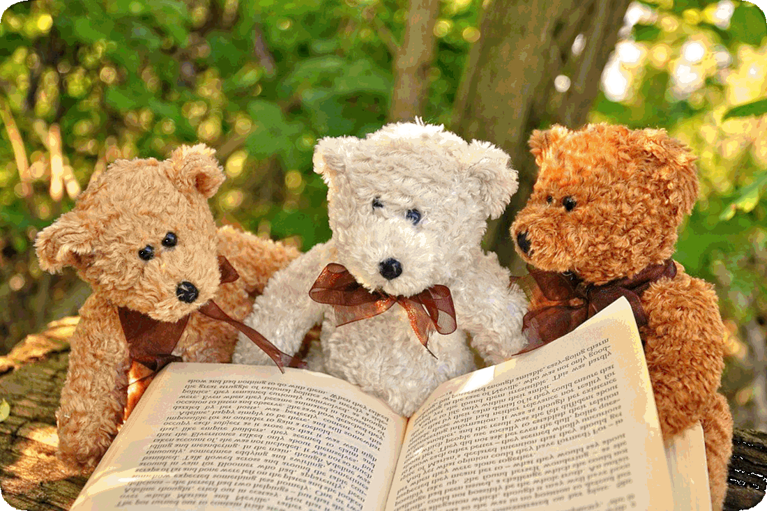 Picture of three tiny teddy bears outside under a tree and reading a book.