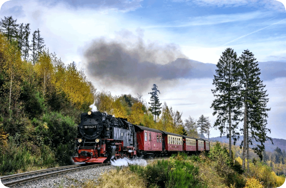  Picture of a black, red, and yellow passenger train making its way along a railroad track through a wooded area, with a variety of plants that have leaves in shades of green and yellow and brown, including trees, bushes, and grass on both sides of the track, with a hill in the background and an overcast sky.