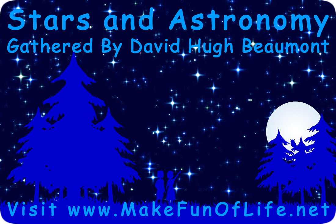 Picture of two people standing outside on green grass and surrounded by tall evergreen trees under the night sky to look at the stars, with an owl perched high up in one of the trees and silhouetted by the bright Moon behind it.