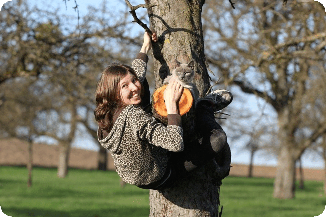 Picture of a happy smiling woman climbing a tree in which a cat is lying on a branch.