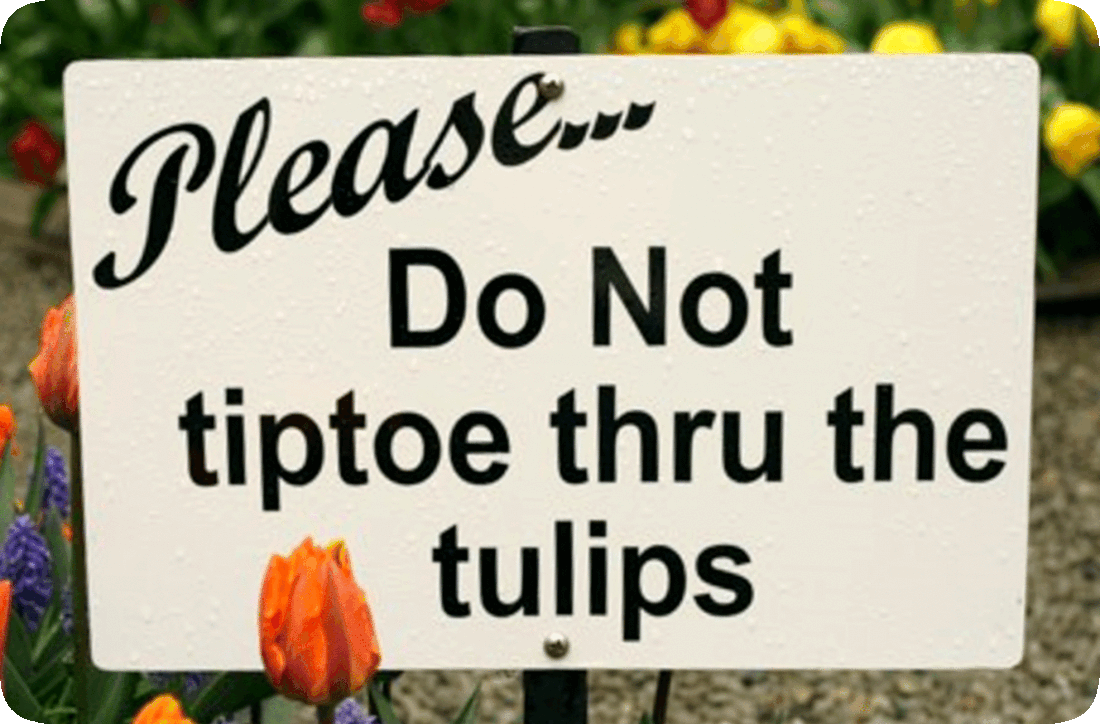 Picture of a field of brightly-colored flowers with a sign reading, ‘Please Do Not Tiptoe Through the Tulips.’