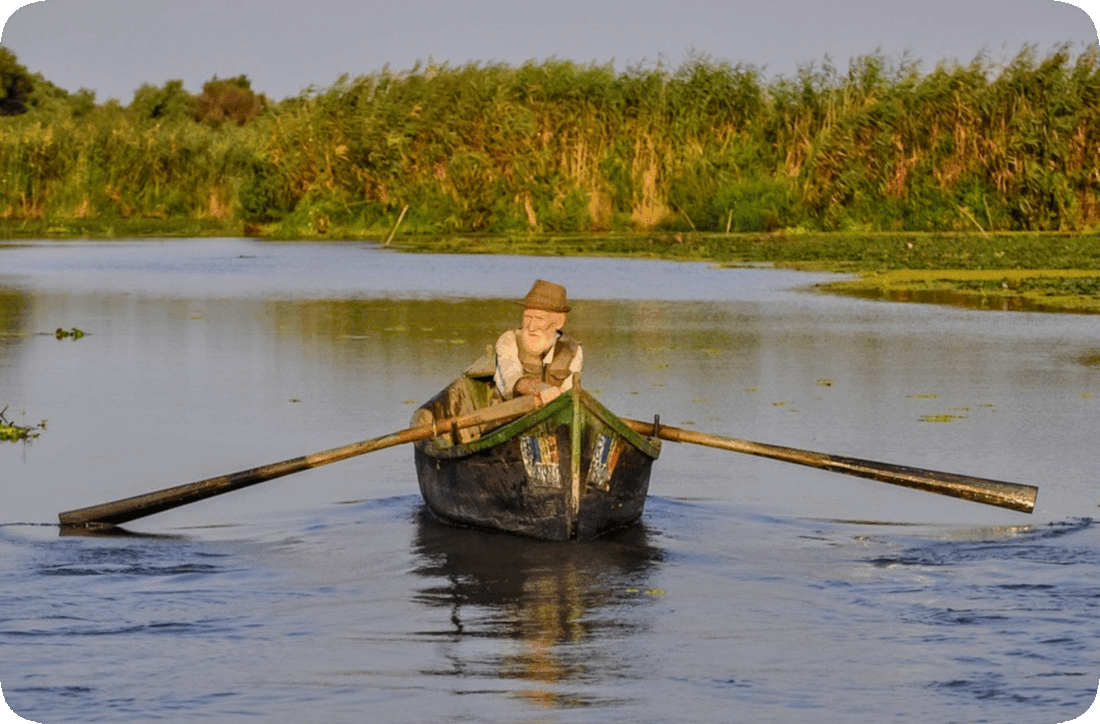 Picture of a man in a boat pulling the oars to make the boat move through the water in a wetlands area, with green plants and leafy green trees on the banks of the water and an overcast sky.
