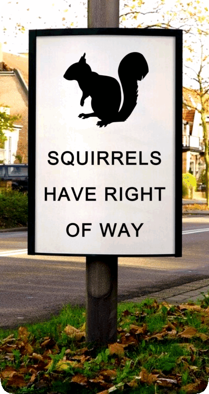 Road sign alongside a residential street, with a picture of a squirrel on it and the words, ‘Squirrels Have Right Of Way.’