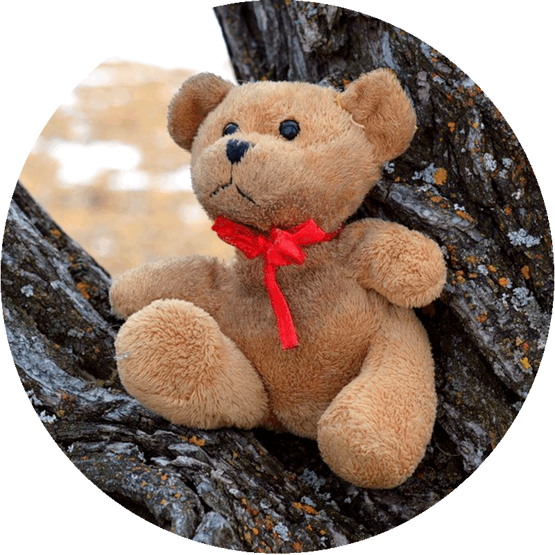 Picture of a toy stuffed teddy bear with a red bowtie, sitting on a branch in a tree.