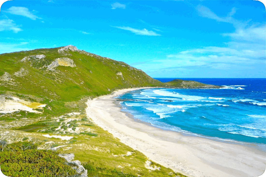Picture of the New Zealand Coastline, with gently rolling waves lapping a sandy beach and a blue sky with hazy clouds overhead.