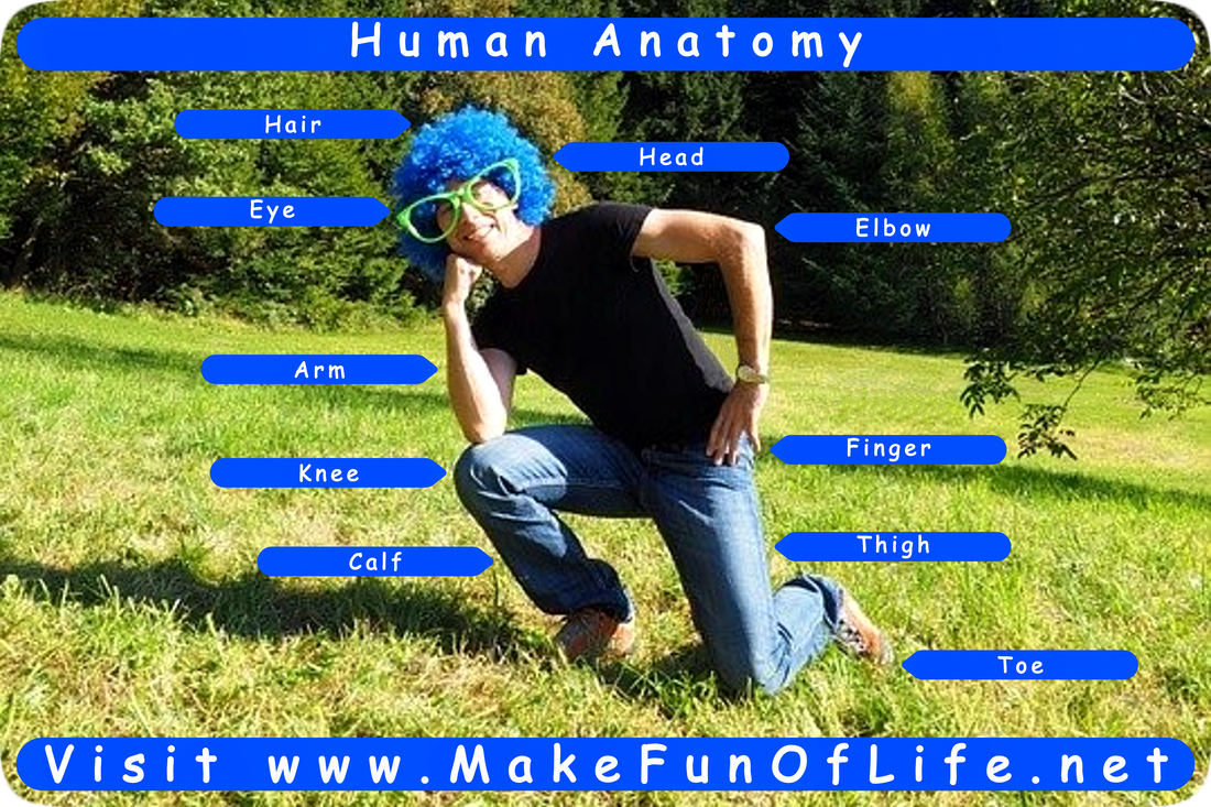 Picture of a happy smiling man wearing a blue wig and green-frame eyeglasses, down on one knee in a green grassy field with green leafy trees in the background, and labeled arrows pointing to parts of his body as follows: Hair, Head, Eye, Elbow, Arm, Finger, Knee, Calf, Thigh, Toe.
