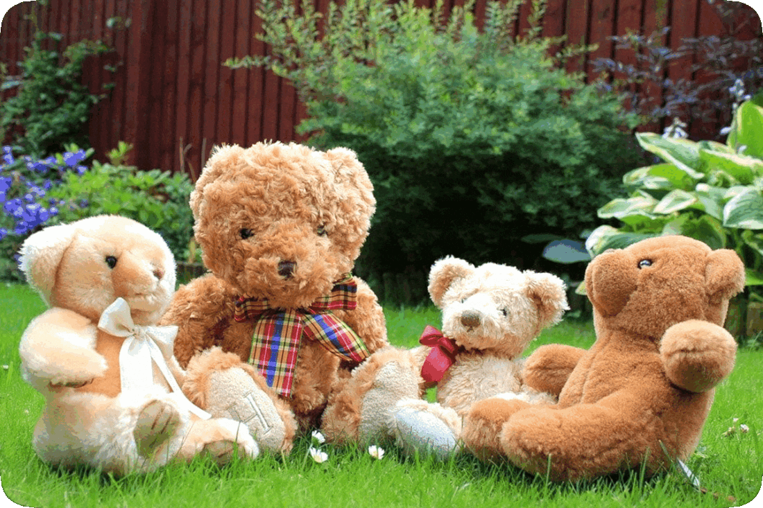 Picture of four teddy bears sitting in a semi-circle in a green grassy yard, with a wooden fence and green leafy flowering plants in the background.