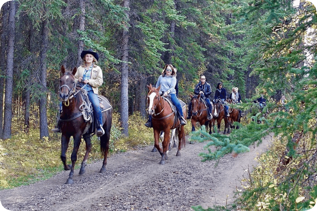 Picture of a group of people riding horseback single-file on a dirt road through a wooded area.