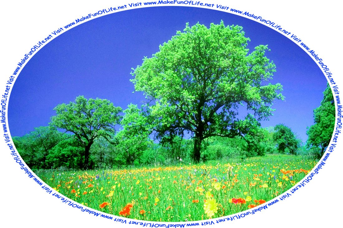 Picture of red, yellow, and blue flowers in a field with trees and a clear blues sky in the background.