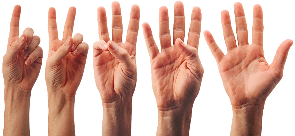 Picture of human hands holding up one to five fingers.