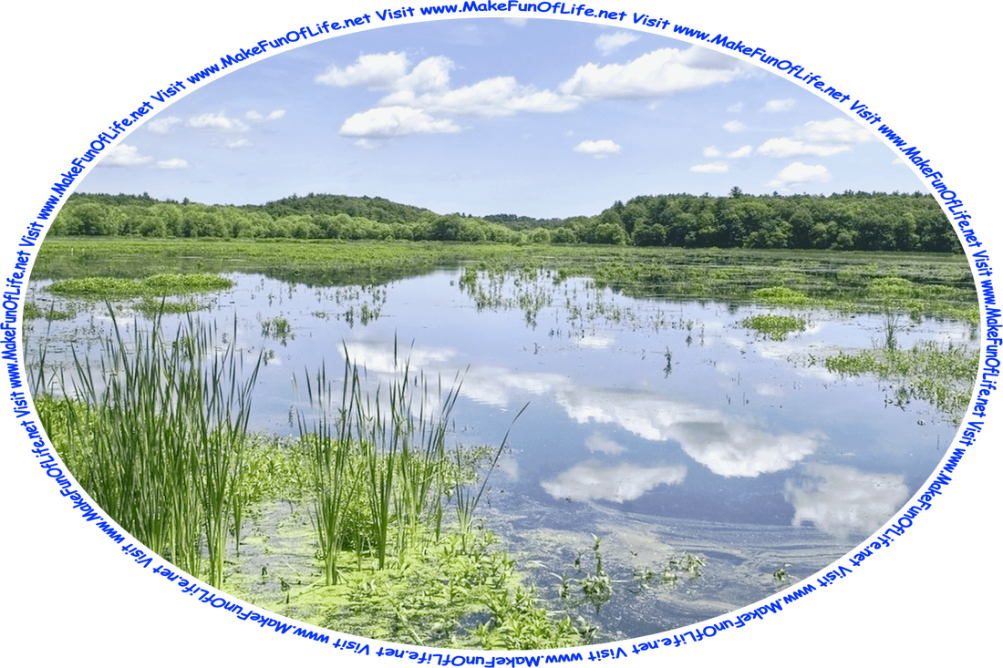 Picture of a lake with leafy green aquatic plants including cattails growing in it, surrounded by dense leafy green trees, a blue sky with fluffy white clouds above, and the words, ‘Visit www.MakeFunOfLife.net.’